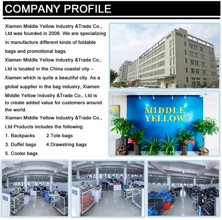 Fashion Travel Backpacks