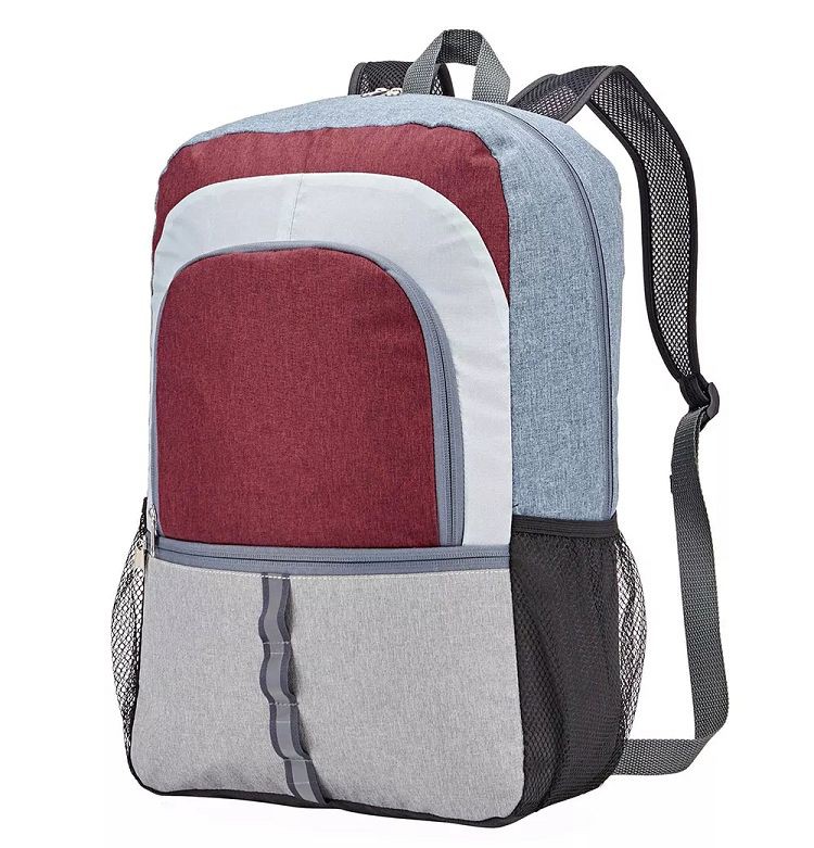 traveler's backpack