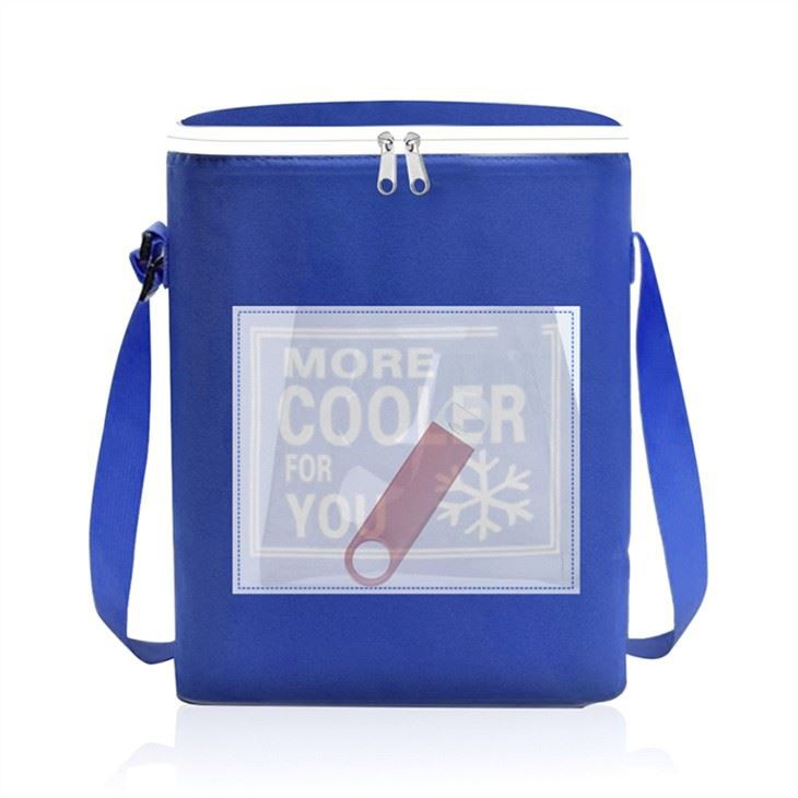 Small Portable Cooler Bag