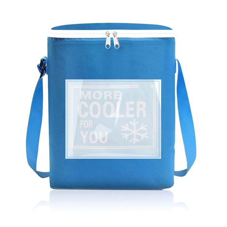 mini cooler bag